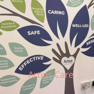 Full Wall Decal That Is More Than Just Decorative