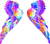 Angel Wing Wall Stickers – Customizable Selfie Backdrops